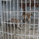 Photo: Big Cat Rescue